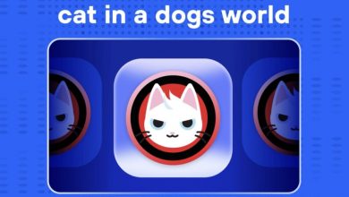 mew:-a-feline-apex-in-the-dog-dominated-crypto-world