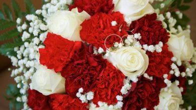 wholesalecarnations.com-strengthens-position-as-a-leader-in-bulk-carnation-supply