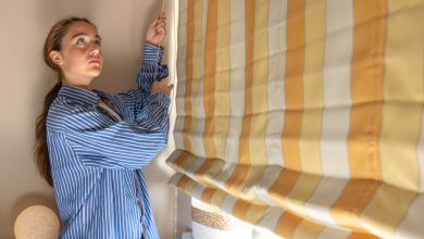 color-trends-in-modern-window-coverings:-what’s-in-style-right-now
